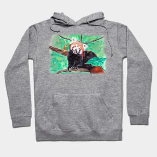 Red Panda Hoodie